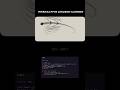 Interactive Dragon Cursor | The Best Mouse Follow Effect in Web Development#shorts