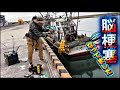 【爆釣】11月の閖上港は色んな魚種が釣れてますよー〜！！【宮城釣り】