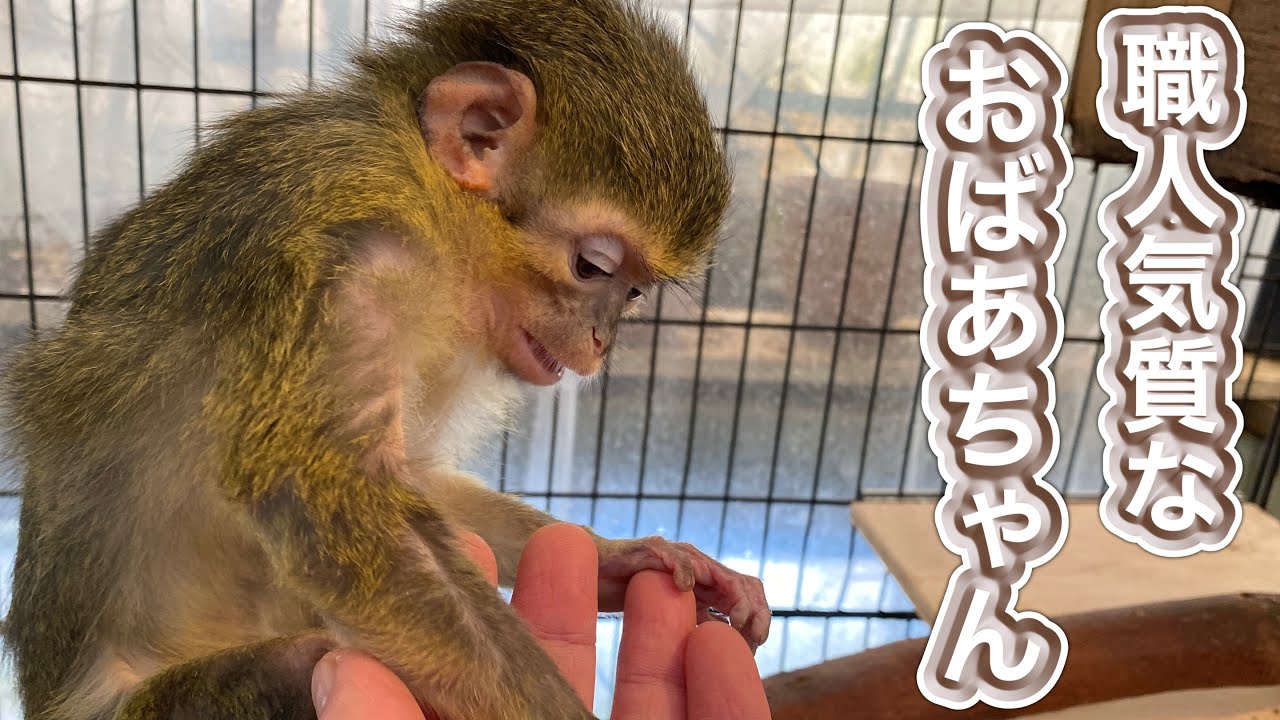 くるみおばあちゃんは職人気質！！皮むき名人でもありながら、一番得意なことは・・・。