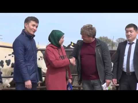 Мерседес банк лизинг Мерседес банк лизинг