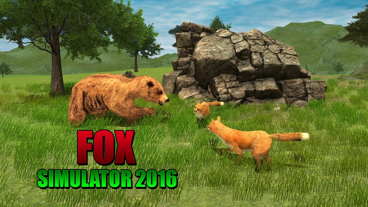 Life of a Wild Angry FOX