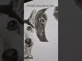 You wont want to miss this art artist realism dog ytshorts