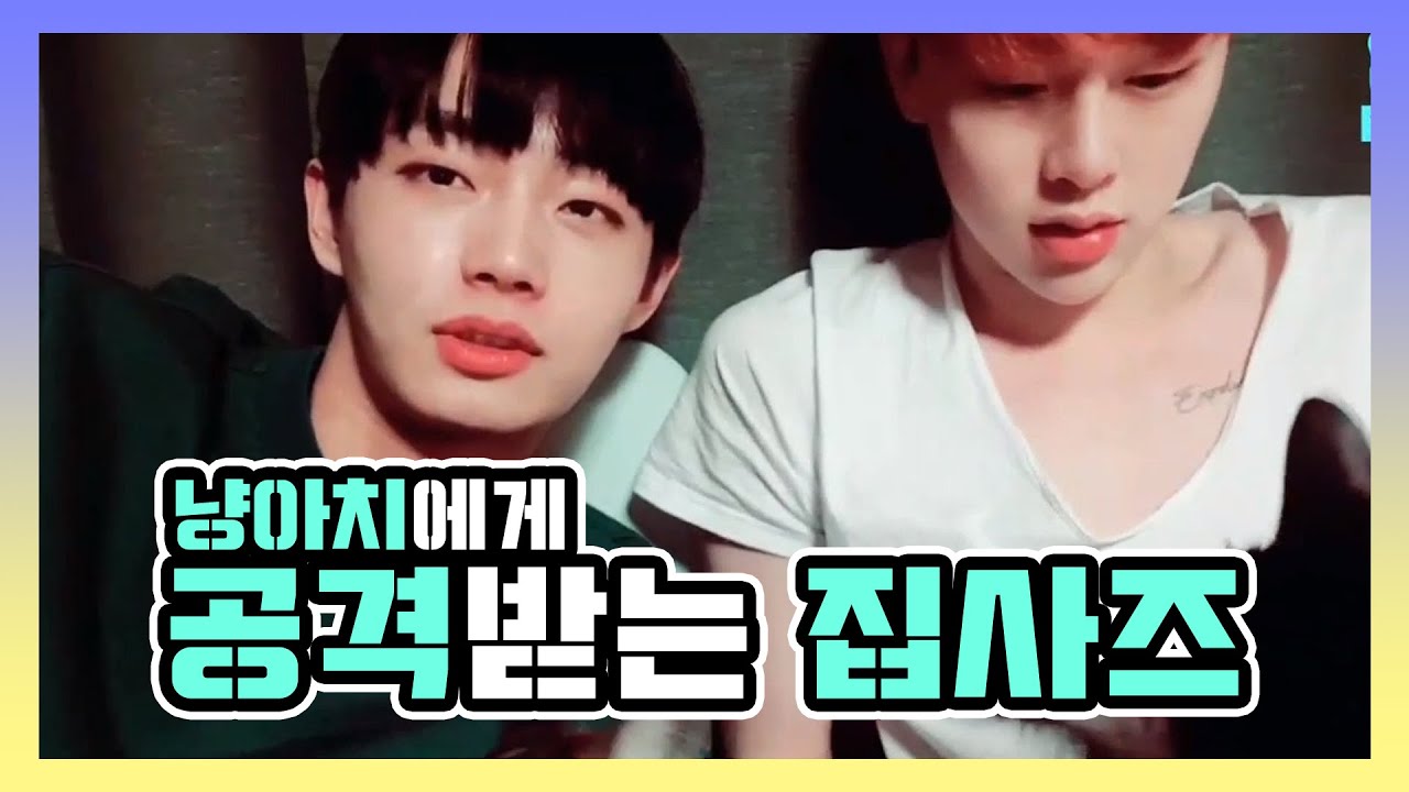 [JBJ] 톨비 생일 축하해주려다 봉변당하는 집사즈