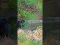 Winterpflege für Pflanzen und Vögel