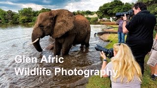Africa Wildlife Photography Workshop And Tuition
