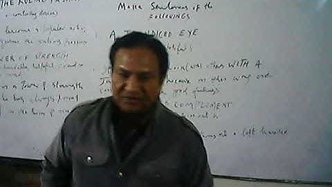 CSS Past Paper Solved, by Professor Muhammad Amin Baig, an Expert of CSS English  [2]
