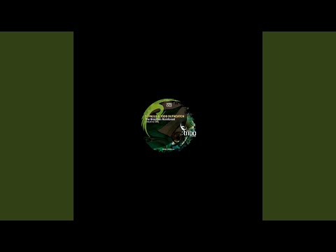The Brazilian Rainforest (Creative Mix)