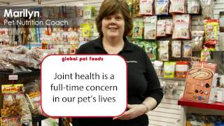 Global Pet Foods - January Message - 1-0419