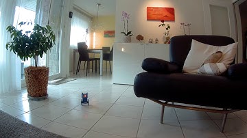 eduMIP Balance robot test drive