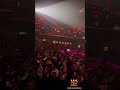 Aerial silk performance 🔥