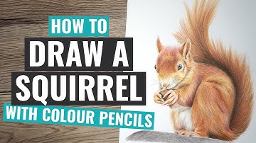 How To Draw A Squirrel | Prismacolor Colored Pencil Tutorial