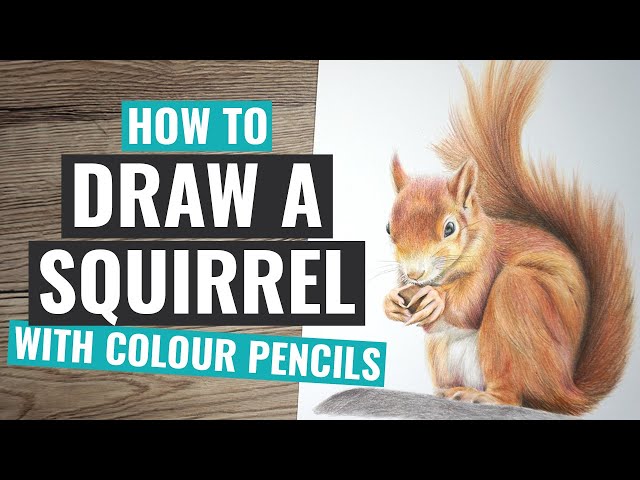 How to Draw Black Hair With Colour Pencils