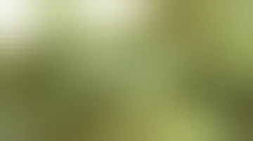 Jak připravit svatební koláč?