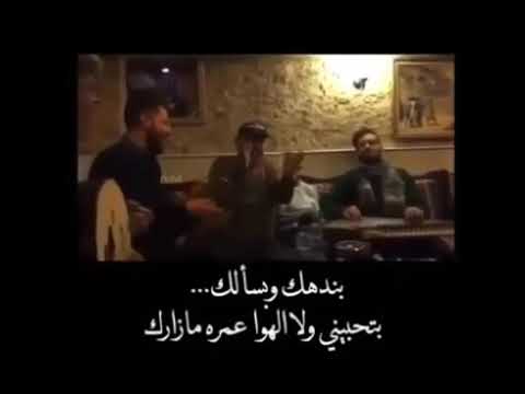 بتحبني ولا الهوا عمرو ما زارك حالات واتس