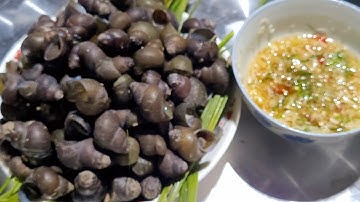 Ốc Đắng Hấp Sả Và Cách Làm Nước Chấm Sả Ớt Chua Ngọt Chấm Là Mê