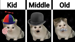 German cat everytime with more age | dar war ein befehl cat meme