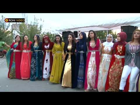Şexani - Koma Roni - Antalya Düğünleri