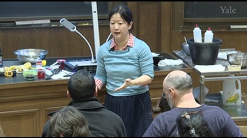 2/11/17 Elsa Yan - Chemistry of Food and Cooking