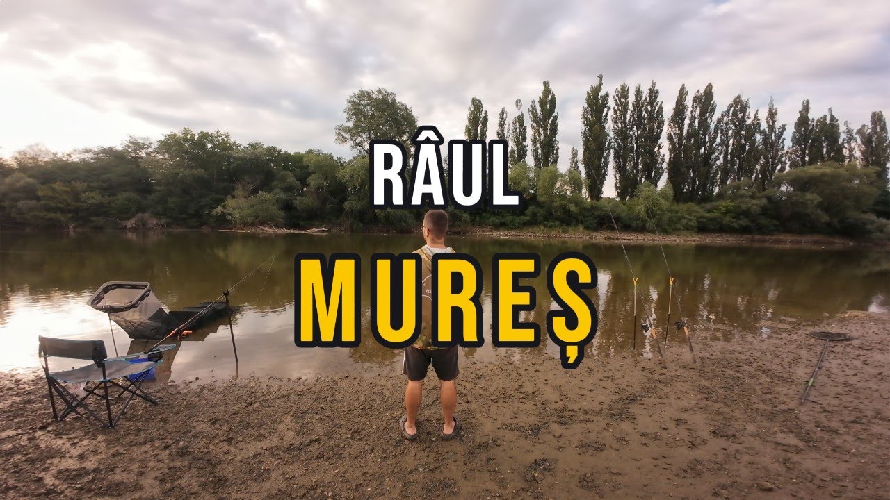 Cât am prins în 6 ore pe RÂUL MUREȘ?
