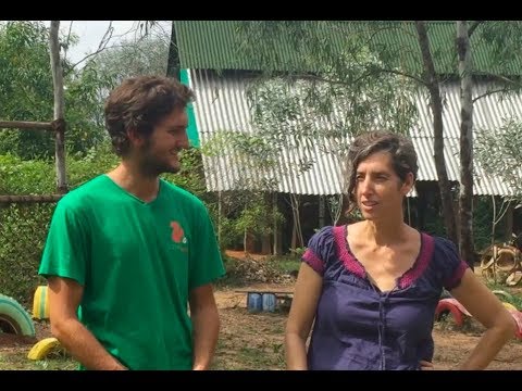 Videó: Fák ültetése és Tolerancia Hirdetése A Sadhana Forest - Matador Hálózaton