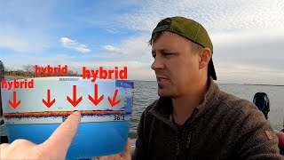 How to Find Hybrid Bass on Sonar