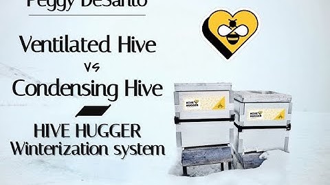 Ventilated Hive vs. Condensing Hive & Intro to Hive Hugger