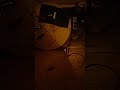 la photovoltaïque nous cache sa tension vidéo de nuit
