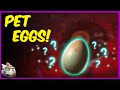 How to Get and Hatch Pet Companion Eggs | No Man's Sky Pet Companion Update 2021