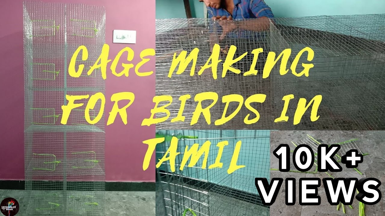Separate cage making / separate cage making in Tamil / budgies separate