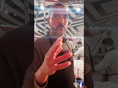 افراح عيت بلوزة الحاج هلال رزق بلوزة Shorts