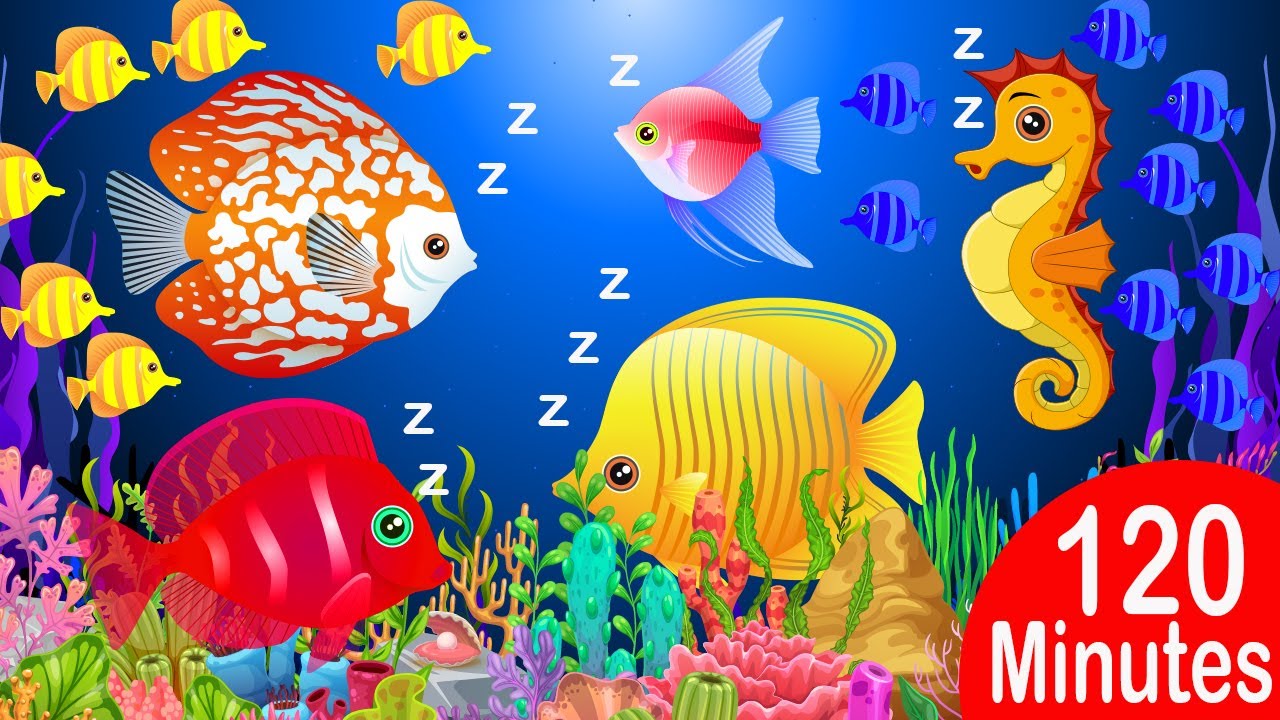 💖Bedtime Relaxing Lullaby for Babies, Kids & Parents 😍 Calming Fishes ...