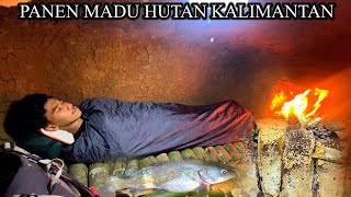 3HARI CAMPING SENDIRI BERBURU MADU HUTAN DAN IKAN DI SUNGAI 