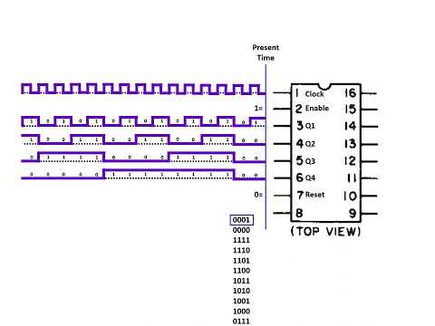 Binary Counter Visualization