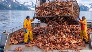 Ice Sea Hunters The Battle for King Crab