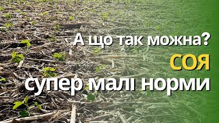 Соя та кукурудза на 50 см | Захист від бур'янів та норми висіву