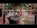 Bonsai seasons  february at kisetsuen morten albek