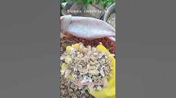 How to make charcoal  from waste coconut shell?