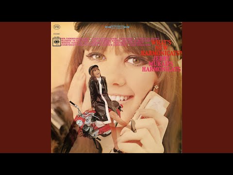 Watch A Lover's Concerto on YouTube
