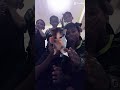 kicau mania