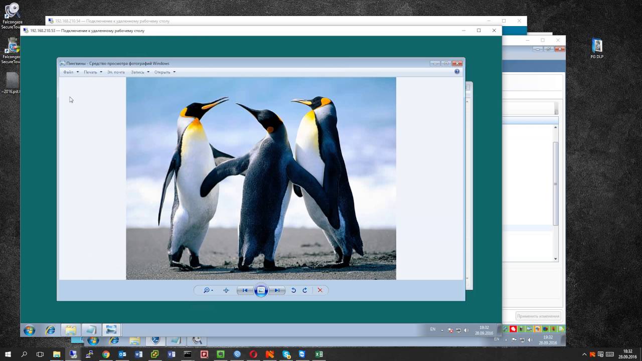 Продолжение настройки Falcongaze SecureTower 5.9 - YouTube