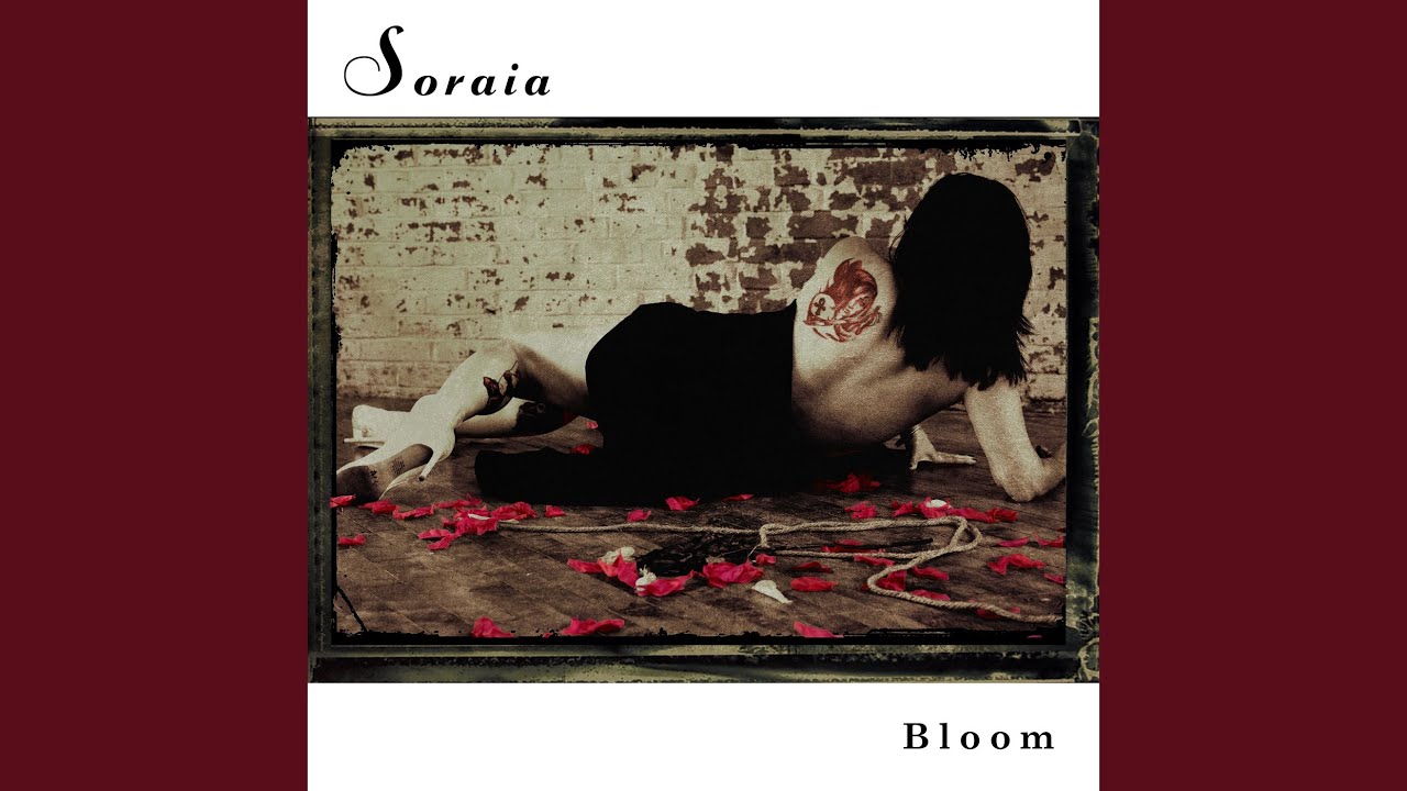 YouTube पर Secret Medicine देखें YouTube पर Secret Medicine देखें