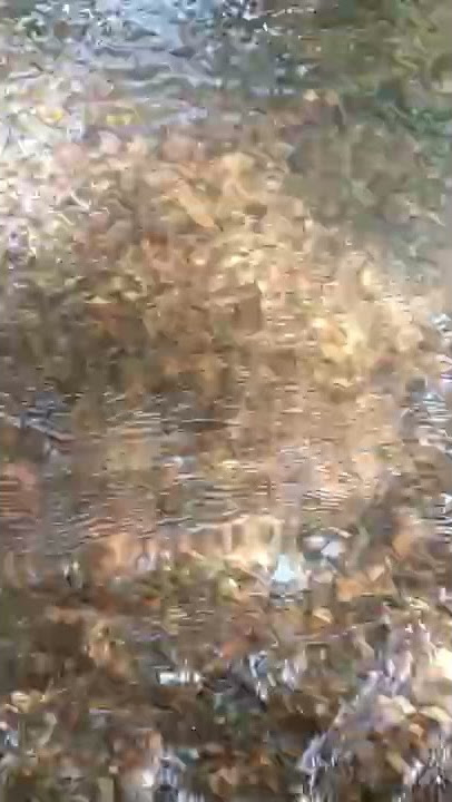 Sungai Kalimantan tempat para gadis dewasa mandi telanjang bulat di tengah hutan saking sepinya