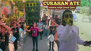 SASAK TERBARU !! CURAHAN ATE !! TIMAK LENGE POKOK PACU SASAK SEDIH BIKIN MEWEK