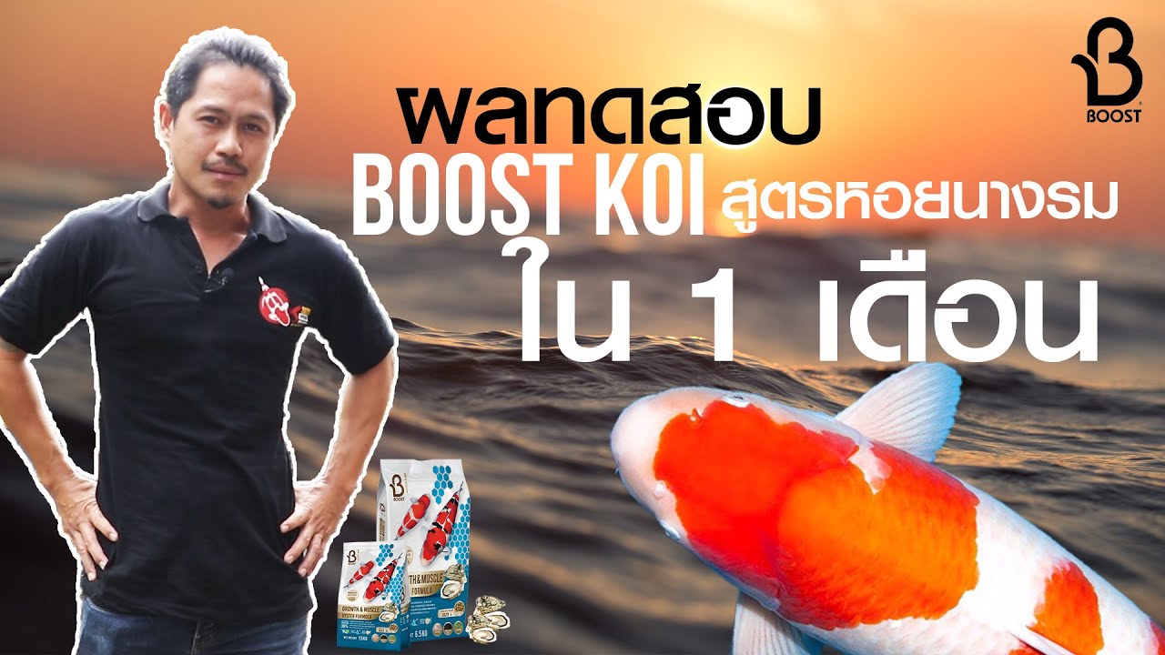 ทดสอบอาหารปลาคาร์ฟ Boost Koi สูตรหอยนารม 1 เดือน ล่ำจริงมั้ย? | สรุปเนื้อหาที่มีรายละเอียดมากที่สุดเกี่ยวกับอาหาร ปลา คา ร์ ฟ ยี่ห้อ ไหน ดี