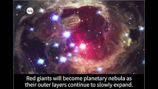 What are Stars?