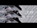 【弾き語り】迷子−上野優華(Covered by Alisa Mo)【MV】