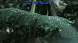 Mayer Hawthorne - I Wish It Would Rain (Short Cover) @cooldisks101