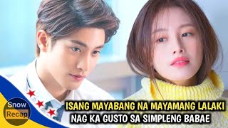 ISANG MAYAMANG LALAKI NA INLOVE SA ISANG PROBENSYANA TAGALOG RECAP