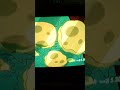 مقطع Mbc 3 أحلى عالم