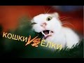 Коты vs ёлки! 🎅 🎄 😺 Подборка приколов 2017